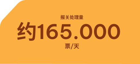 Trang trí dịch vụ hải quan